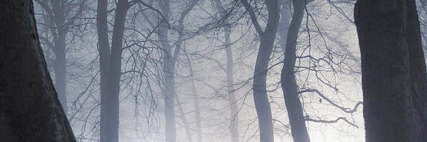 BlackThoughts12's profile banner image