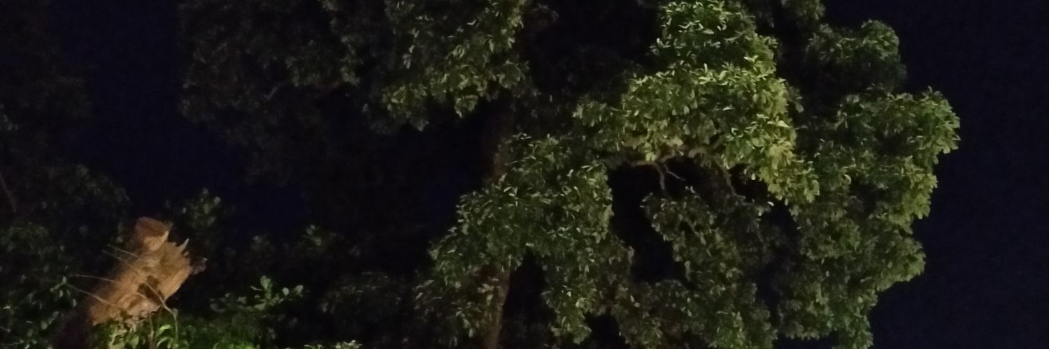 mas_soll's profile banner image