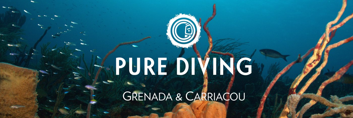 grenadadiving's profile banner image