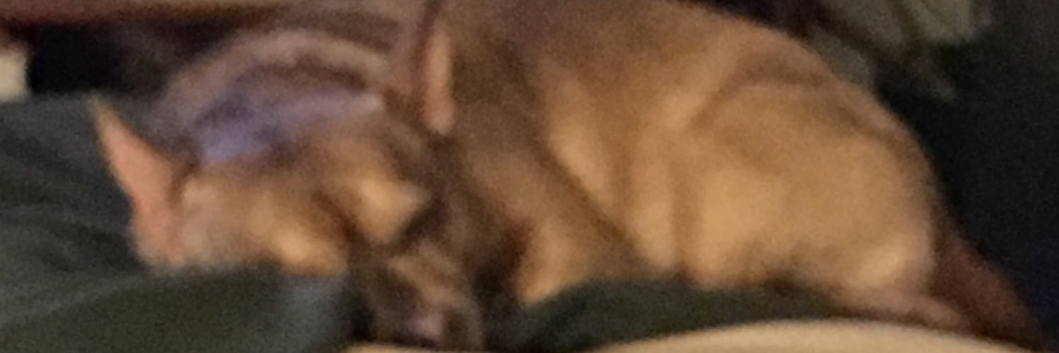 travisj75's profile banner image