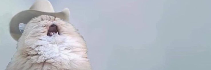 Lazyparsnip's profile banner image