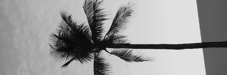zacharypolson's profile banner image