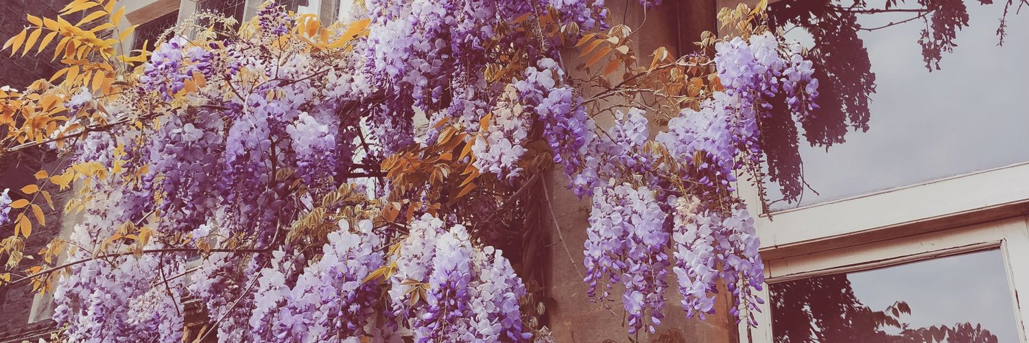 StephBeswickx's profile banner image