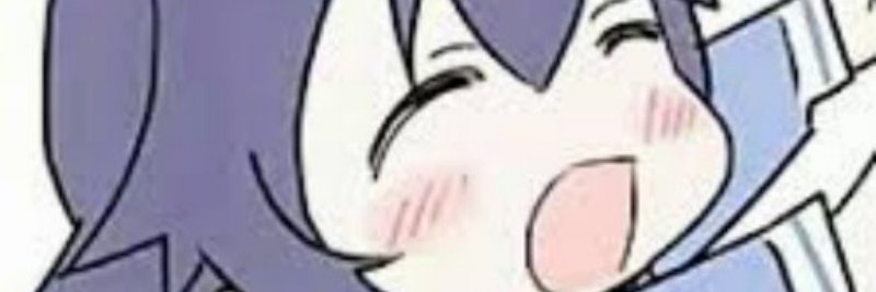 Budimir Maticπ² banner