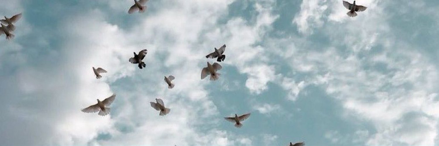 saragad1052's profile banner image