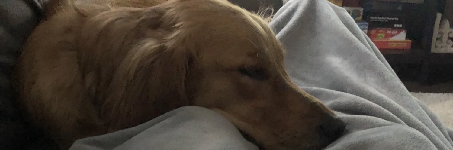 gbruce26's profile banner image