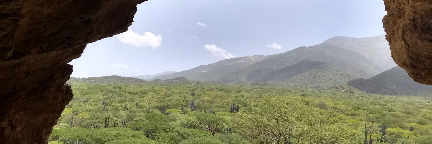 Andrew Somerville banner