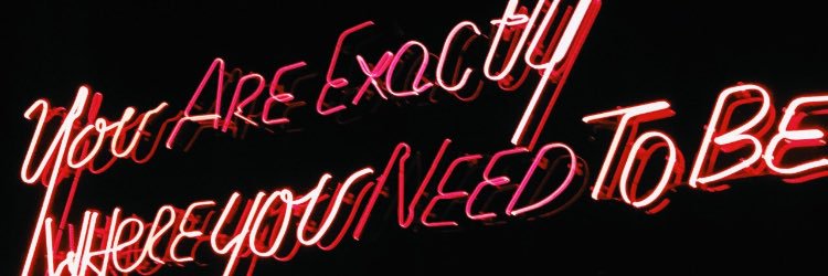 andielammers's profile banner image