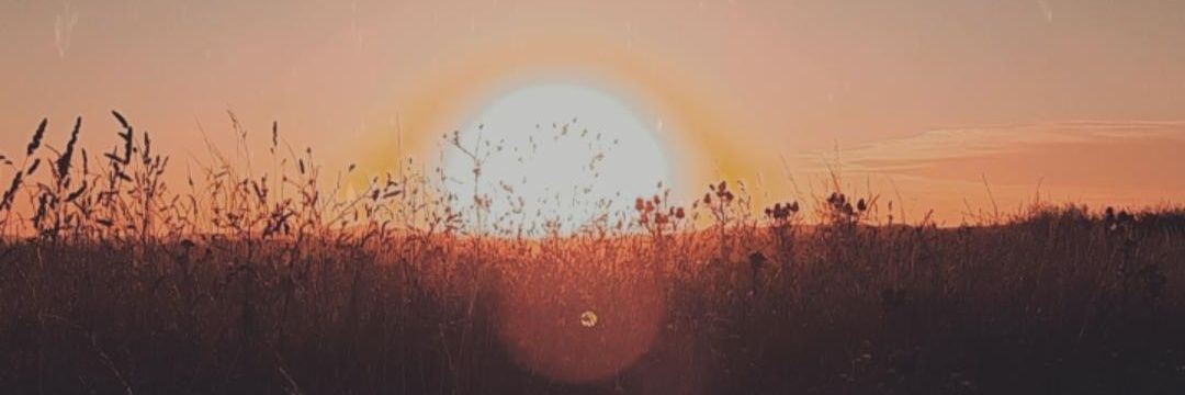 SofiPaloma's profile banner image