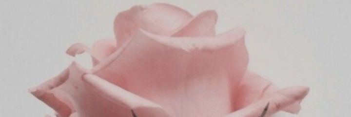 ditaabdjul's profile banner image