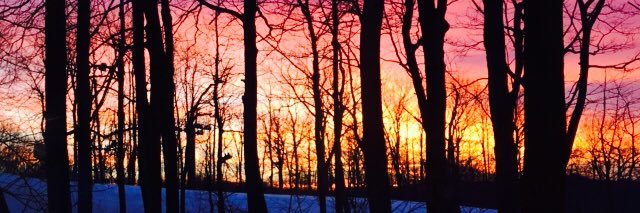 Juliette Power banner