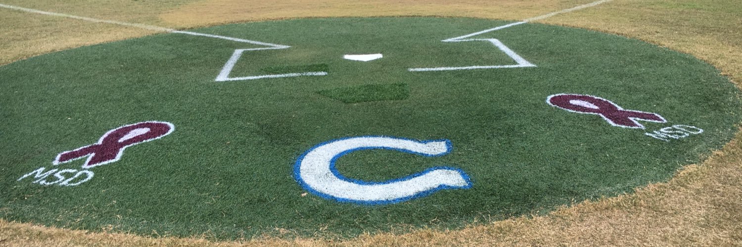 CSCOLTS BASEBALL banner