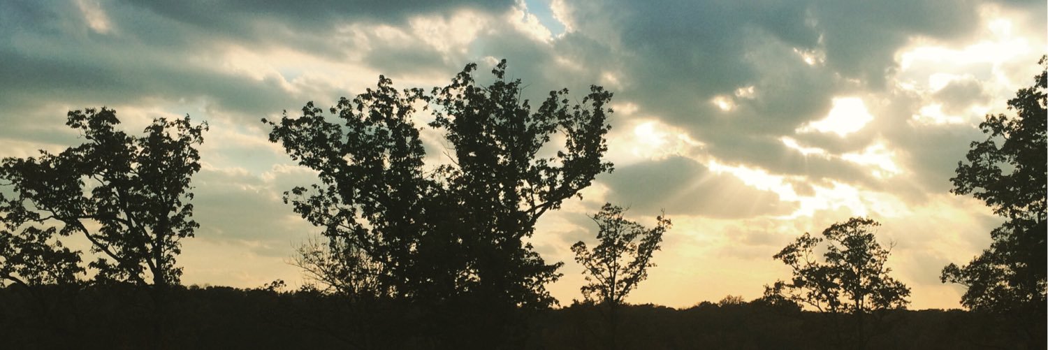 TerryLeeStevens's profile banner image