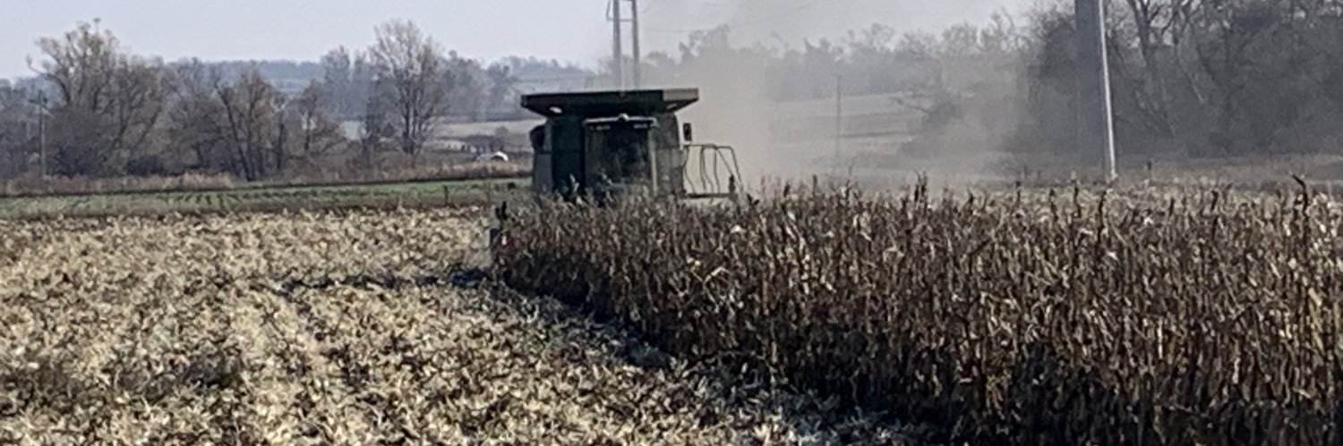kcorizzo's profile banner image