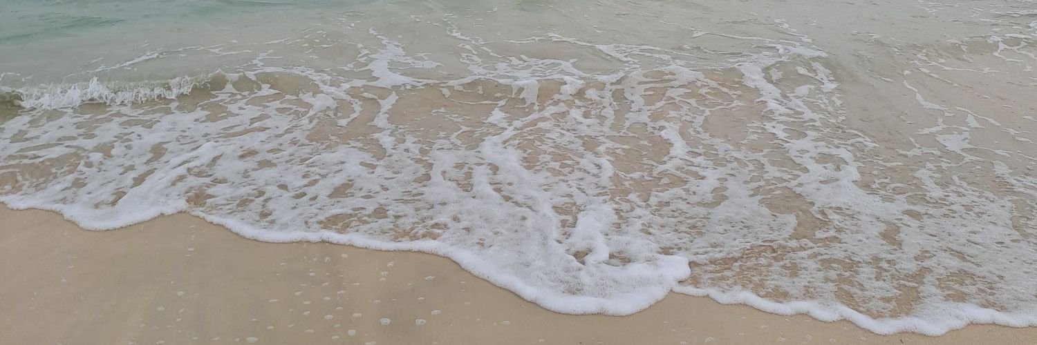 justjasett's profile banner image
