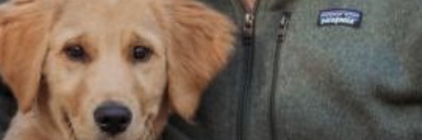 ryancallaghan2's profile banner image