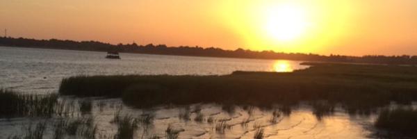 tschill11 Profile Banner