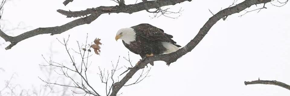 johncrazyplumbe's profile banner image