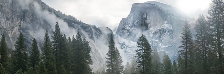 Jaclyn Dobson banner