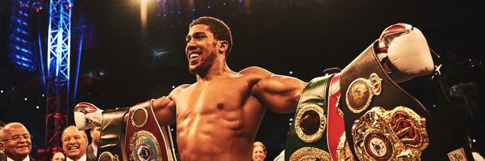 Ryan McDonald banner