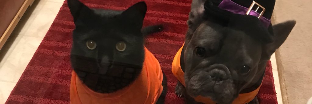 JackRall's profile banner image