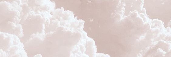 LarissaSchultz's profile banner image