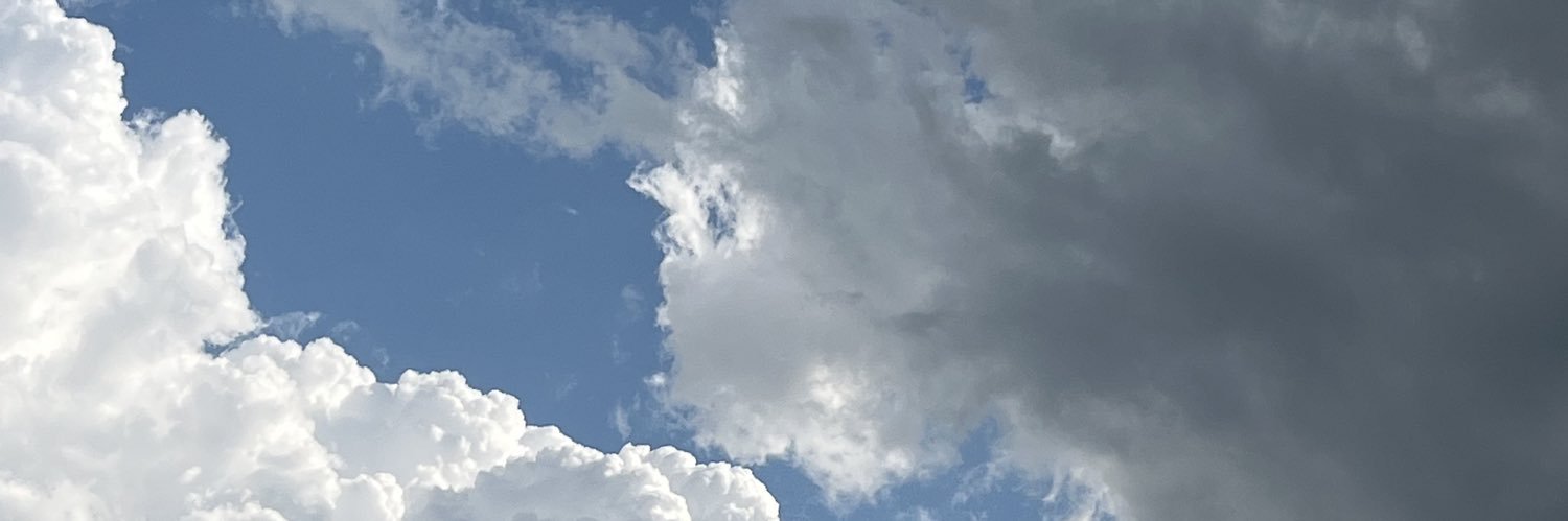 sunflowerblock's profile banner image