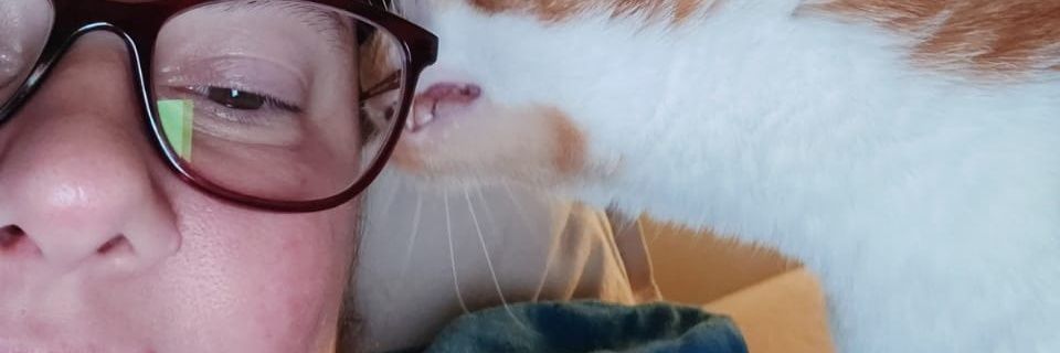 MargareteDau's profile banner image