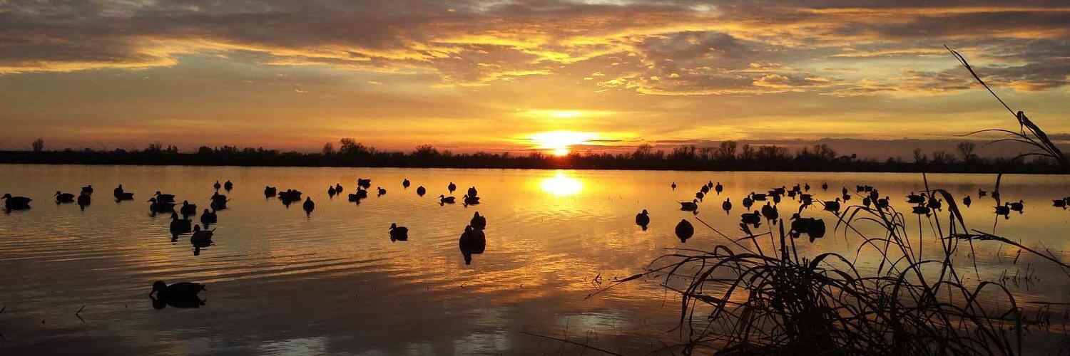 LaneBrumley24's profile banner image