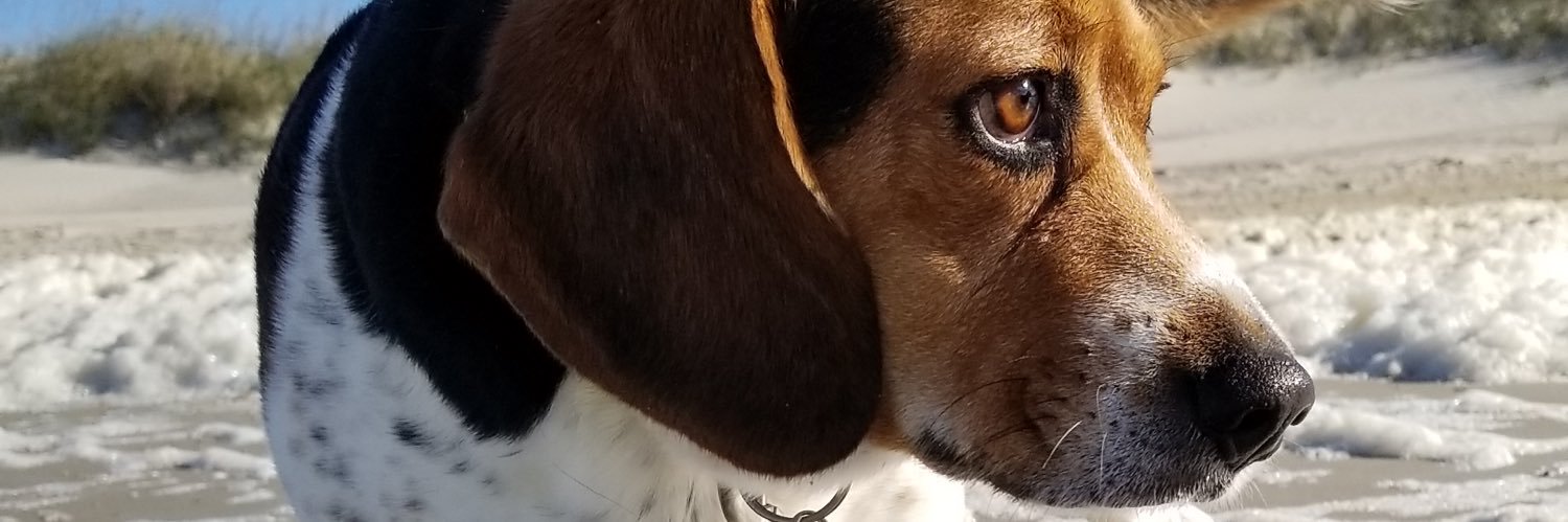 kbre12's profile banner image