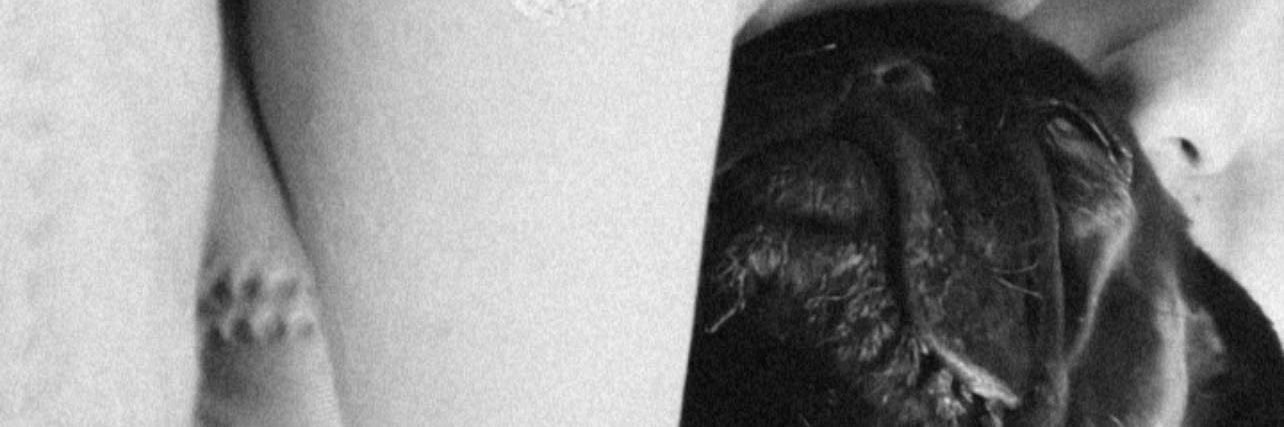 dan_rioos's profile banner image