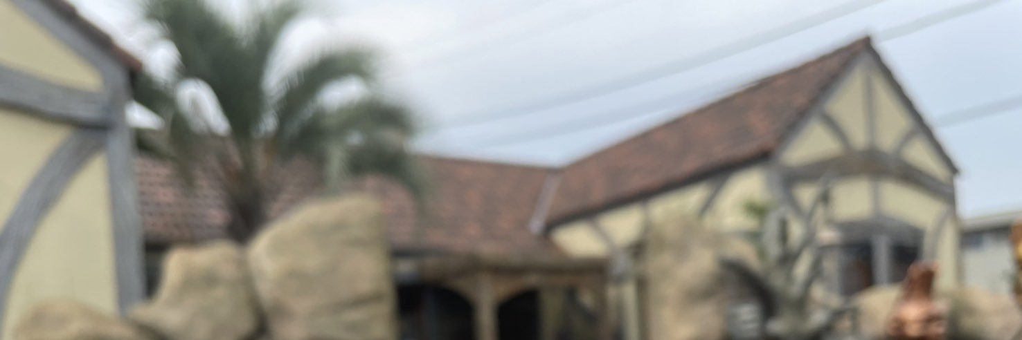 riz_0318's profile banner image