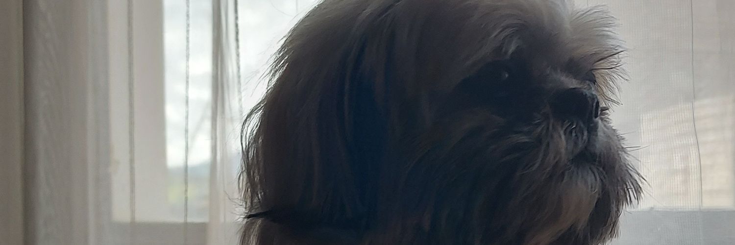 DomyojiReiko's profile banner image
