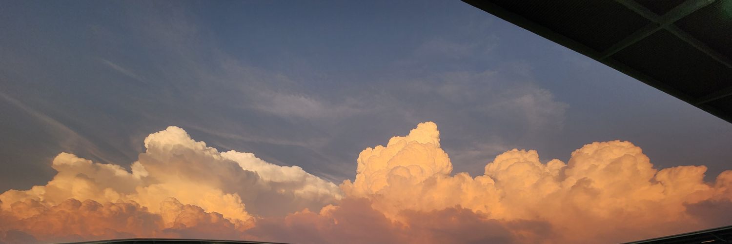 SkylerEllson's profile banner image