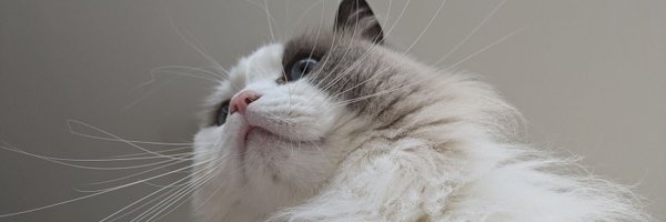 AaronBrianDavis Profile Banner