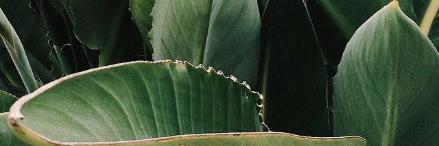 Hyperhidrosis Hottie banner