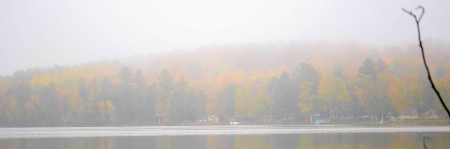 theAndyGregor's profile banner image