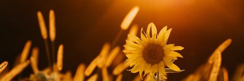 Manuelmcb's profile banner image