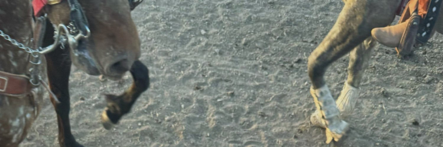 julieeerodd's profile banner image