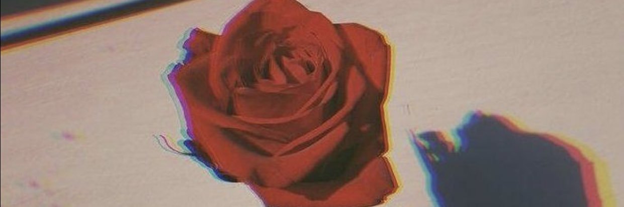 MirnaJaraset's profile banner image