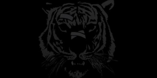 UndefeatedCF's profile banner image