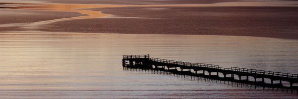 MelDixonWriter Profile Banner