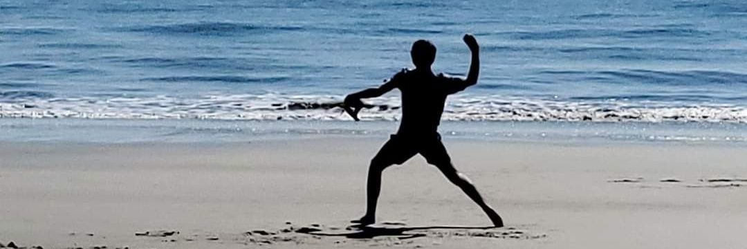 Kim Ann banner