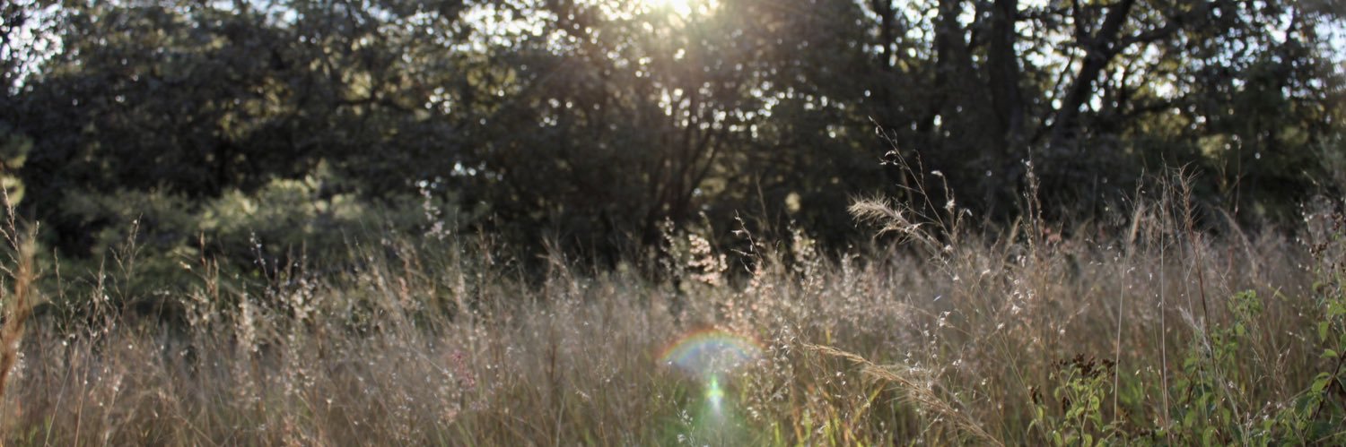 Bosque La Primavera banner