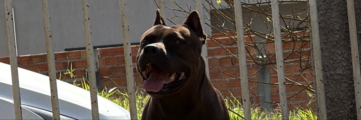 rarineb's profile banner image
