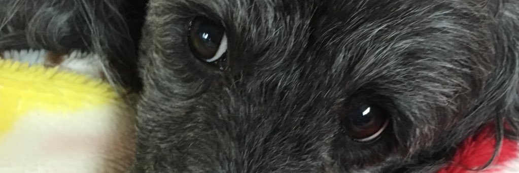 04mach19's profile banner image
