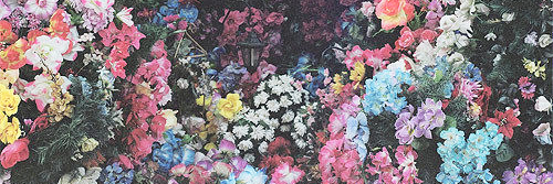 👄 Ficariam 👄 banner