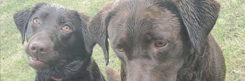 Conner_Weber's profile banner image