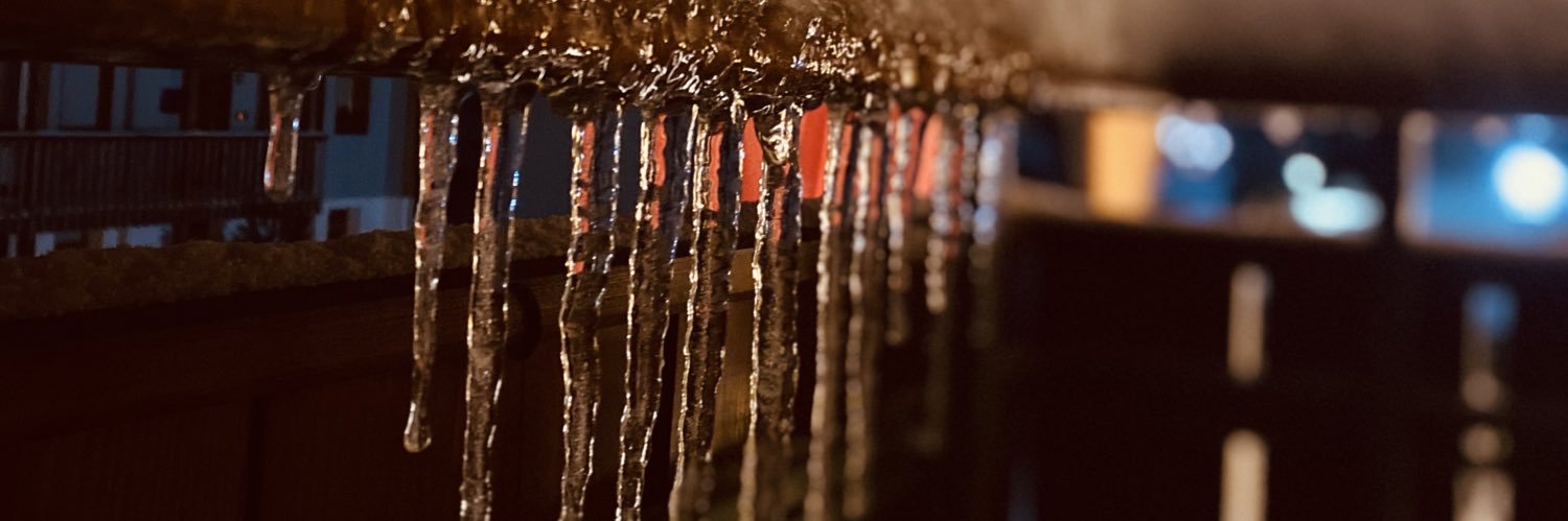 FirstGooseMan's profile banner image