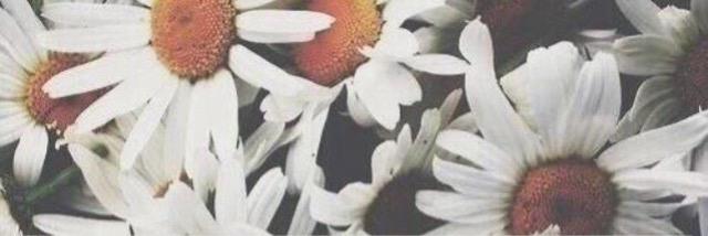 _xxKrose's profile banner image